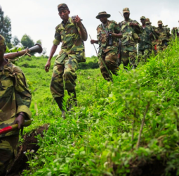 Processus de paix entre la RDC et le Rwanda : un nouvel espoir après des avancées diplomatiques