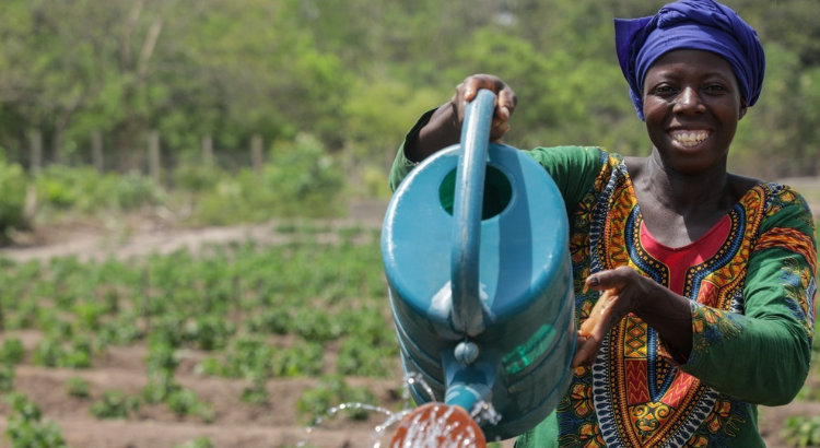 La BAD accorde 102,79 millions de dollars pour soutenir les agriculteurs en Guinée, au Sénégal et au Togo