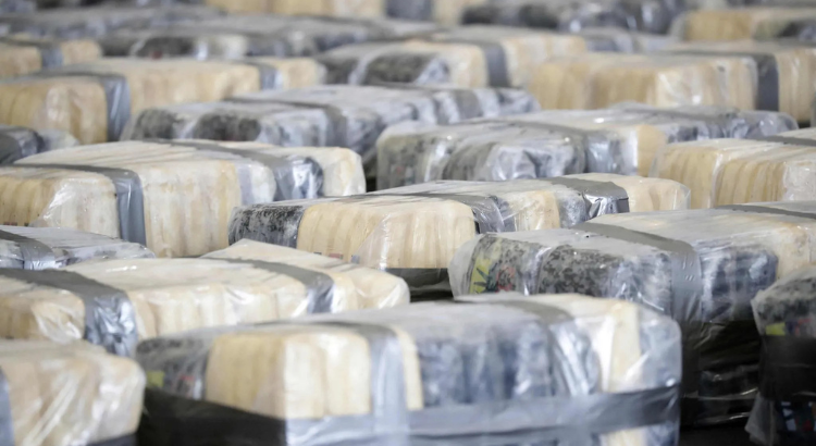 Conakry : une trajectoire brisée par le trafic de drogue, Marcelline Lamah condamnée à quatre ans de prison